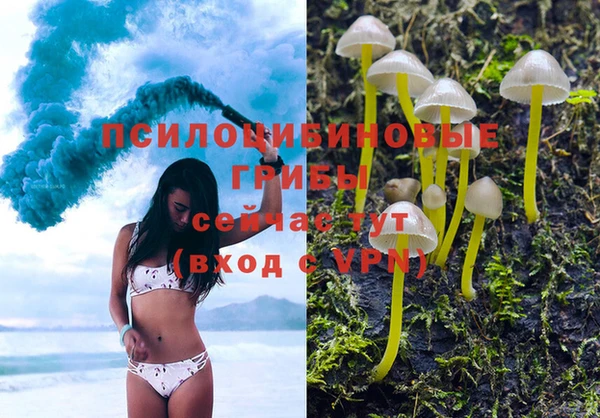молекула духа Аркадак