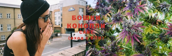 молекула духа Аркадак