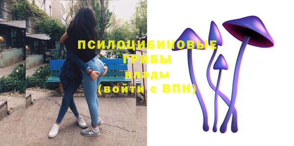 шишки Армянск