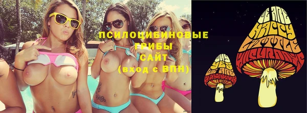 молекула духа Алексин