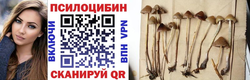 Псилоцибиновые грибы Cubensis  даркнет сайт  Карталы 